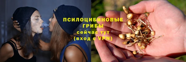хмурый Каменногорск