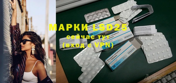 МДПВ Каменка