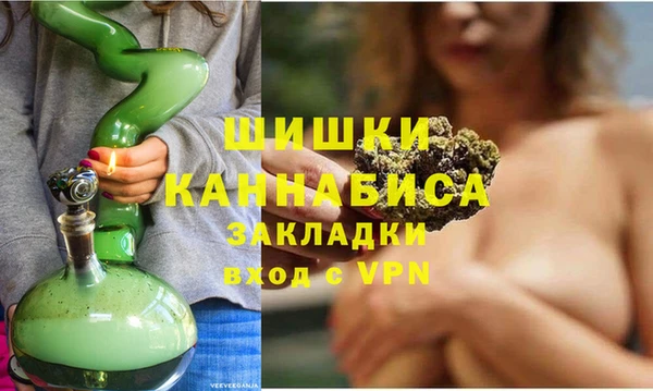 МДПВ Каменка