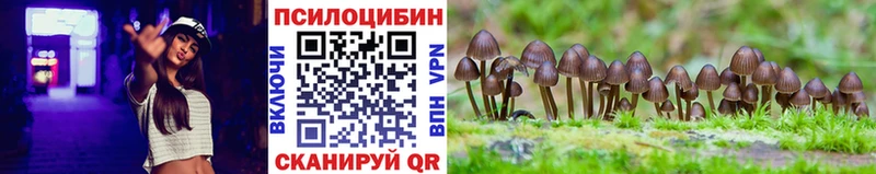 Псилоцибиновые грибы ЛСД  Купить закладки  Кумертау 